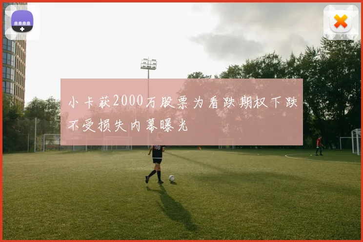 小卡获2000万股票为看跌期权下跌不受损失内幕曝光