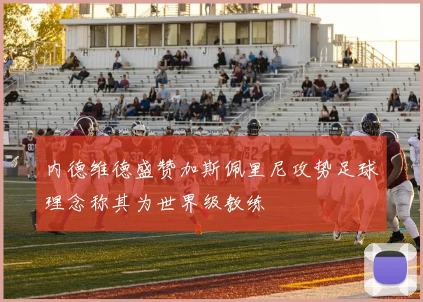 内德维德盛赞加斯佩里尼攻势足球理念称其为世界级教练